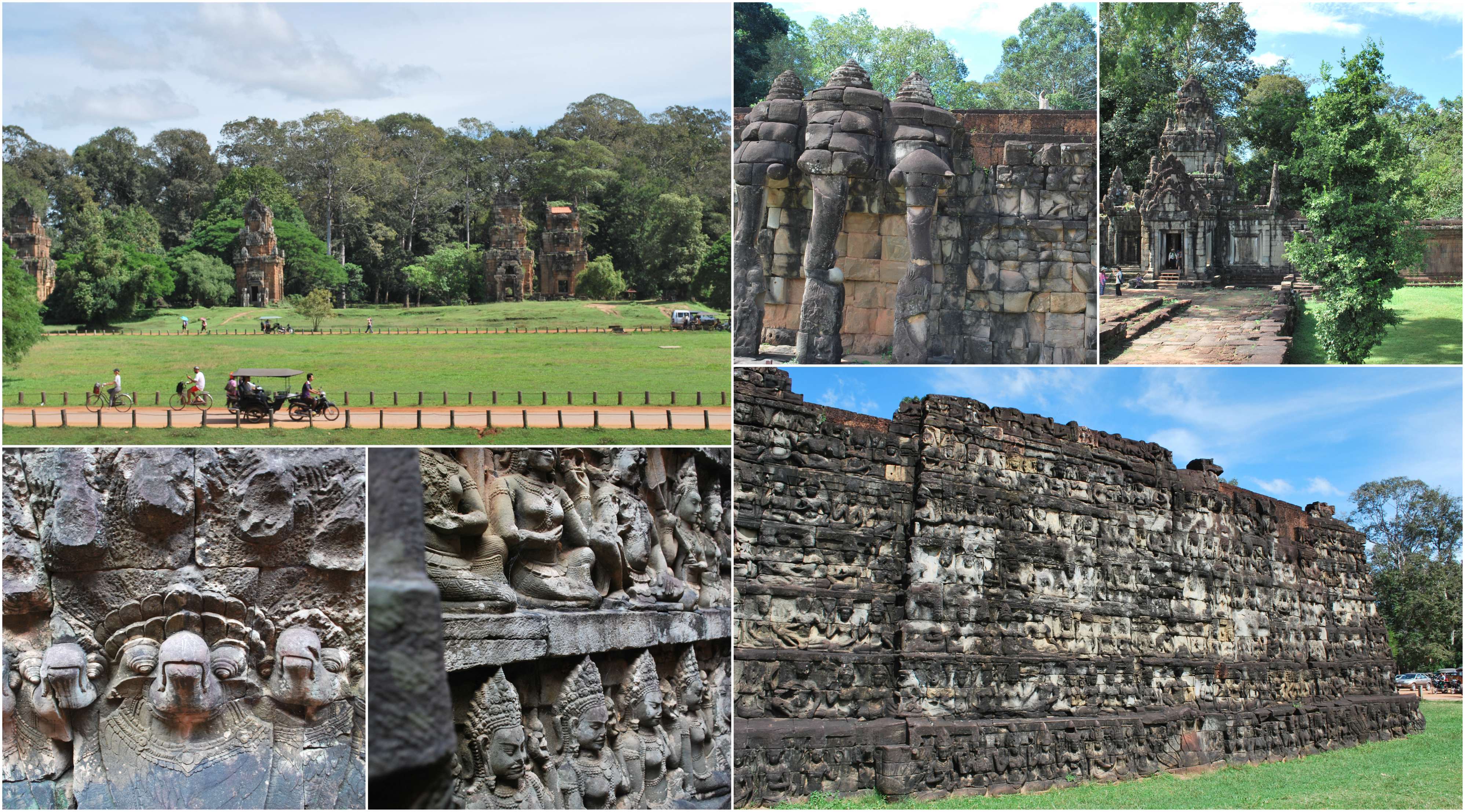 ElephantTerrace
